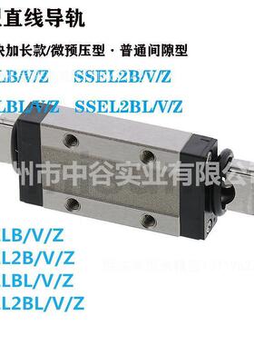 微型直线导轨滑块加长轻预压型SSEL2BV20-[220-700]代米苏米ISUM