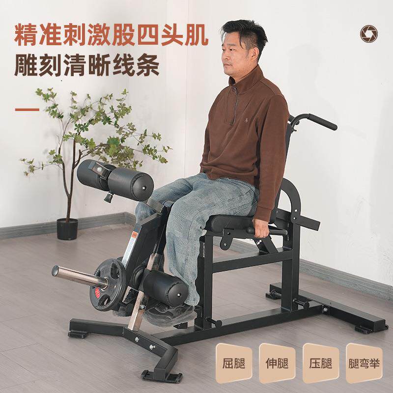 商用坐姿腿屈伸训练凳哑铃凳飞鸟凳力量弯举练腿股四头肌训练器材