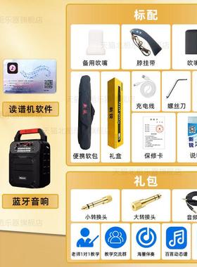 正品202Sier5rXR600管0电吹国产新款中老年a人初学电笛电萨克斯乐