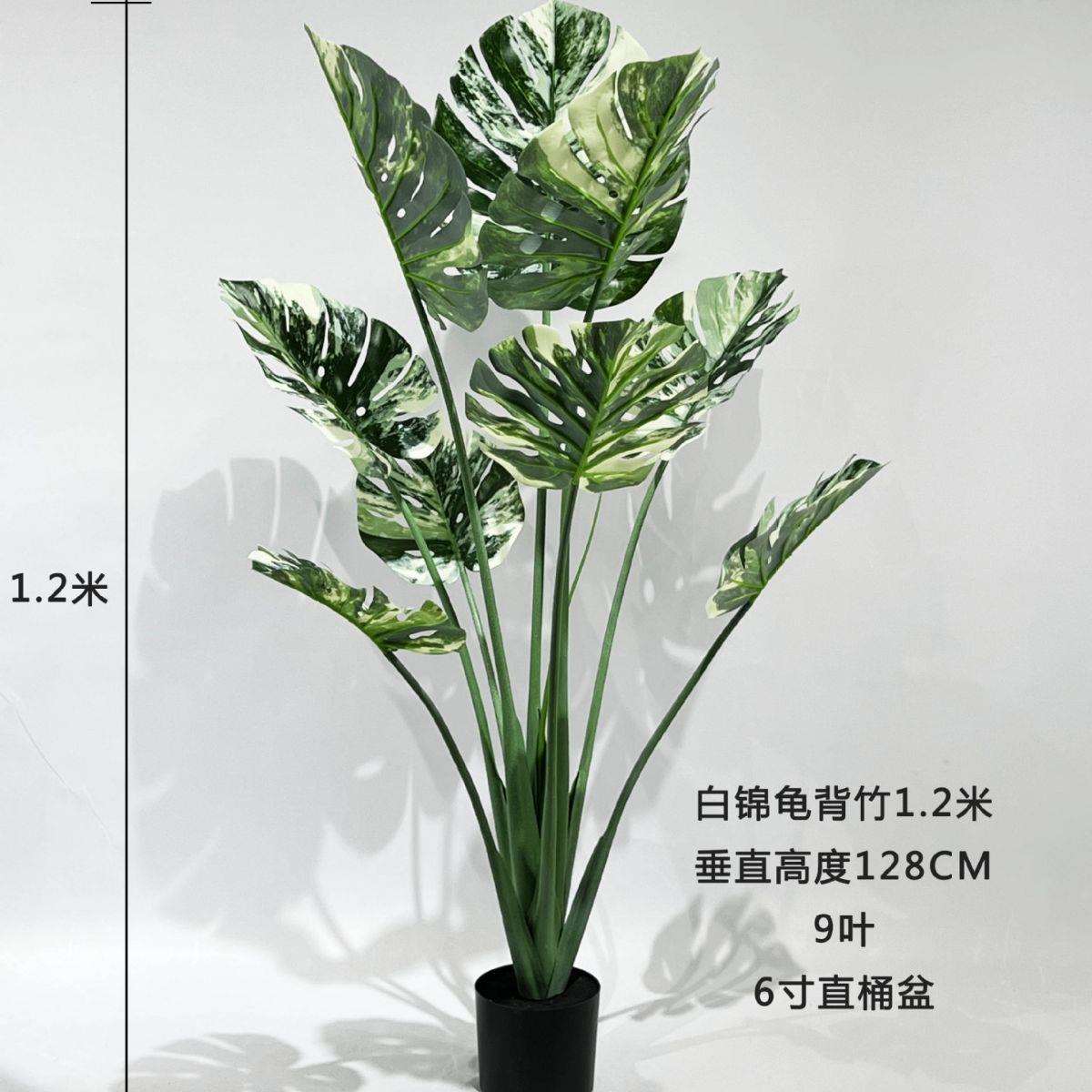 仿真葵树盆栽仿真春芋 仿真龟背盆栽仿真绿植盆景 仿真植物
