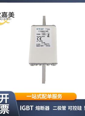 170M4146 170M4194 快速熔断器 电子元器件 库存充足 量大价优