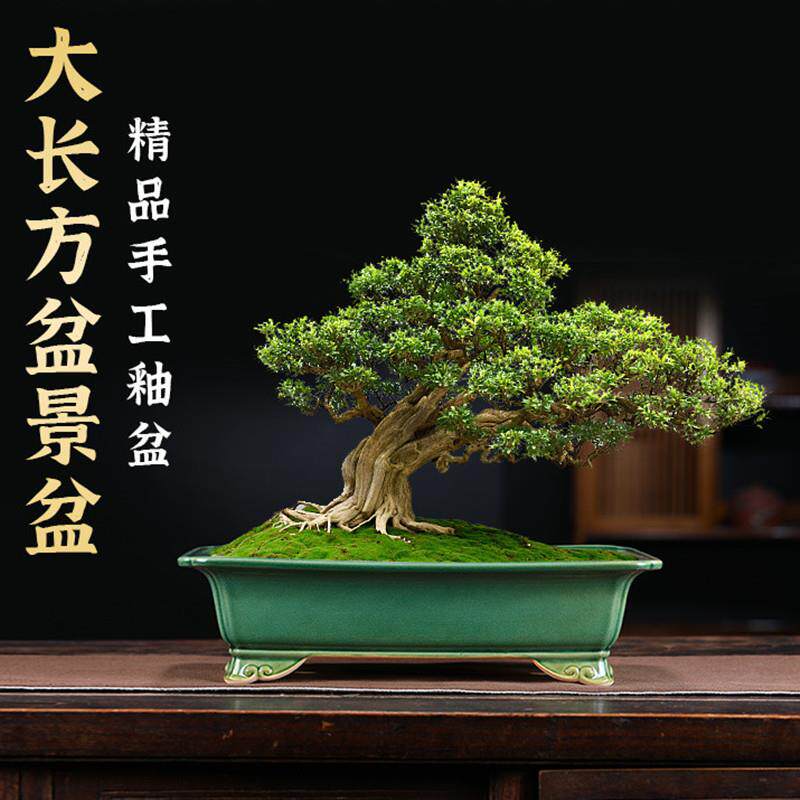 宜兴紫砂花盆陶瓷长方形大号盆景盆马槽多肉绿植盆栽青瓷釉盆外贸