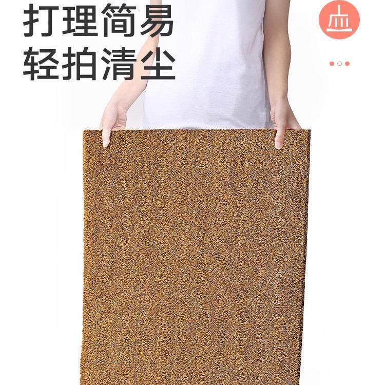 天然椰棕进门脚垫加厚室外门口入户门地垫耐脏家用进户门入门地毯