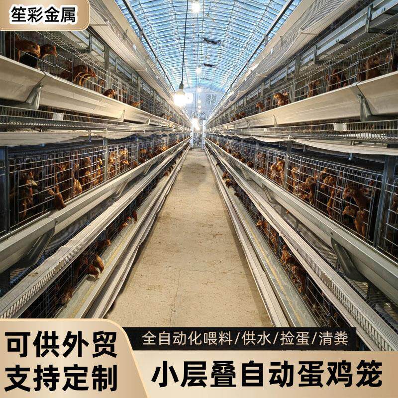 小层叠蛋鸡笼自动化鸡笼养殖场自动化清粪捡蛋喂料鸡场养殖设备