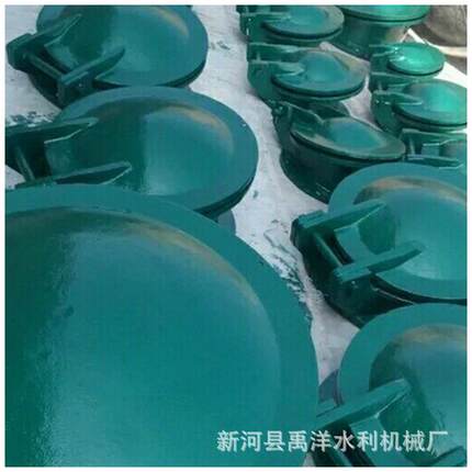 厂家供应水利玻璃钢铸铁拍门复合排水管道DN6008001000止回阀