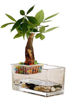 水培植物玻璃瓶长方形玻璃花瓶透明绿萝睡莲水养花盆器皿容器鱼缸