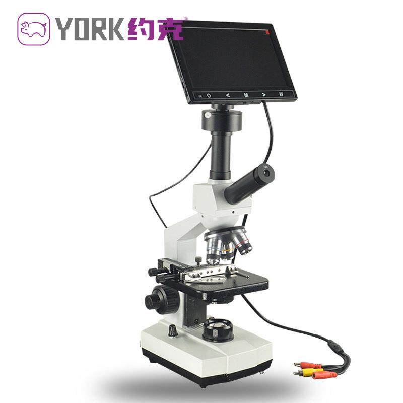 约克（YORK）猪人工授精专用显微镜7英寸大屏幕自带38度恒温载物