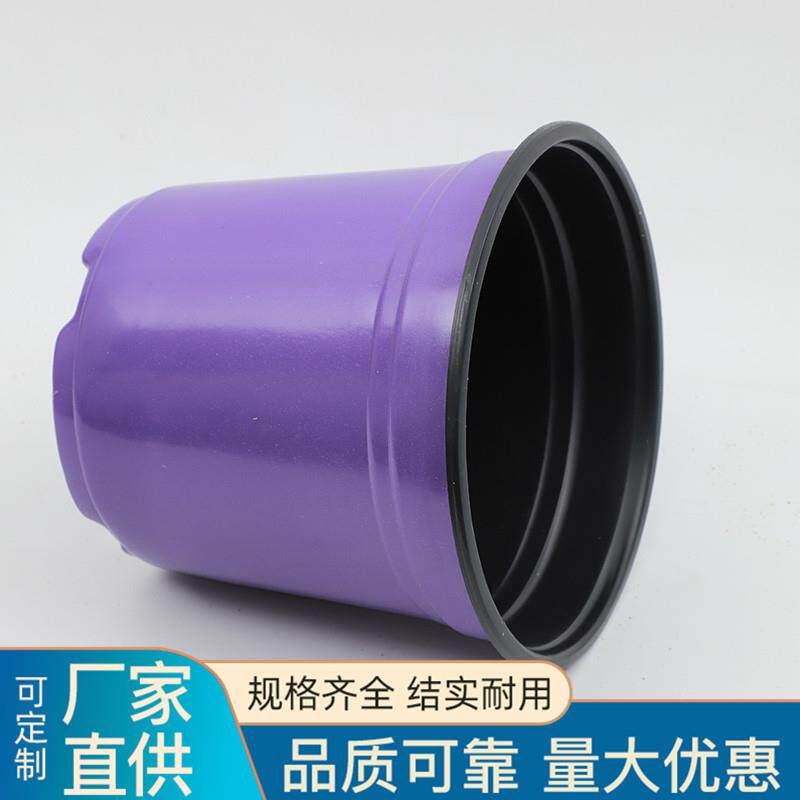 现货加厚双色育苗花盆草莓多肉大号花盆塑料营养多色扦插盆