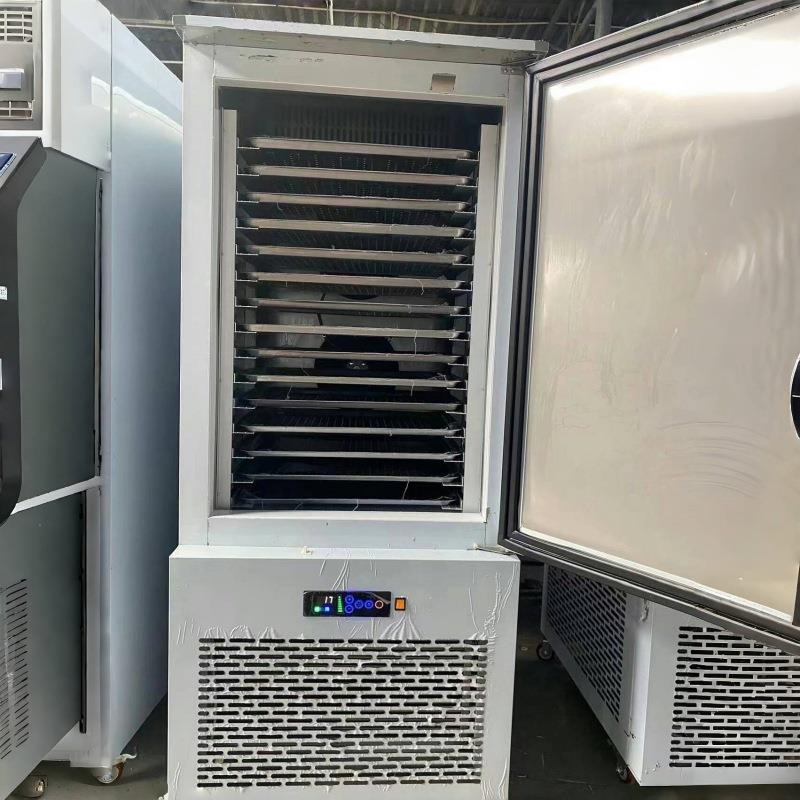 商用-4冻0℃冻柜保鲜厂VPL冰袋速冰块速冻柜无霜风冷速机器家
