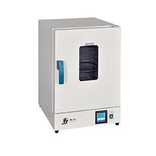 9031A工矿科研化验熔腊灭菌鼓风干燥箱 上海精宏电热干燥箱DHG