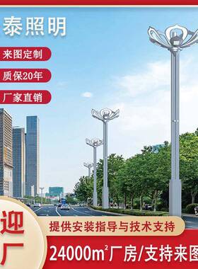 6米造型景观灯LED市政防水路灯厂家直销户外led路灯广场公园路灯