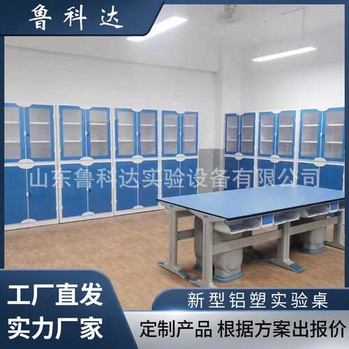 学校新型准备室理化生科学实验桌PP仪器柜药品柜实验操作台演示桌