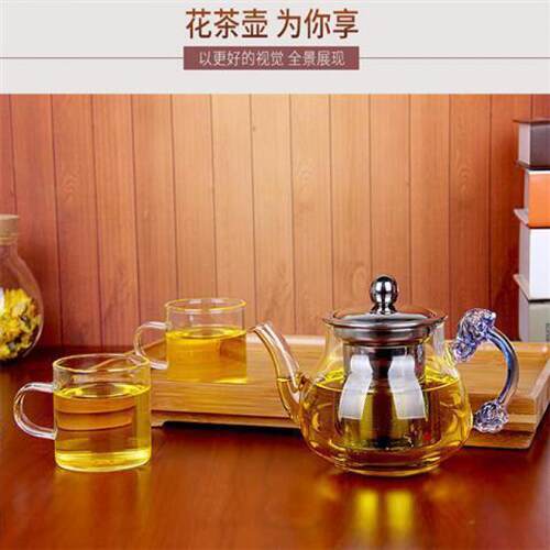加厚耐热WKY耐温明火玻璃茶壶电陶炉不锈钢茶壶高煮茶花壶