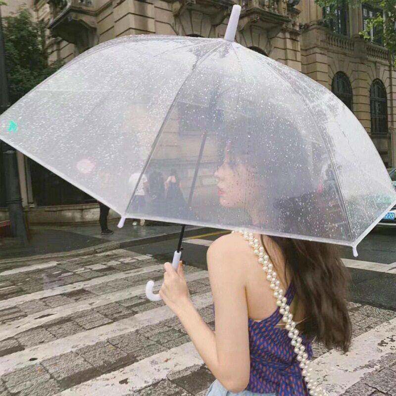 【包邮】尼硕二中号21寸8骨粗骨架透明雨伞 商务时尚女士雨伞