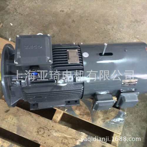 YEJ100L2-4 3KW电磁制动电动机 带编码器电机 刹车马达
