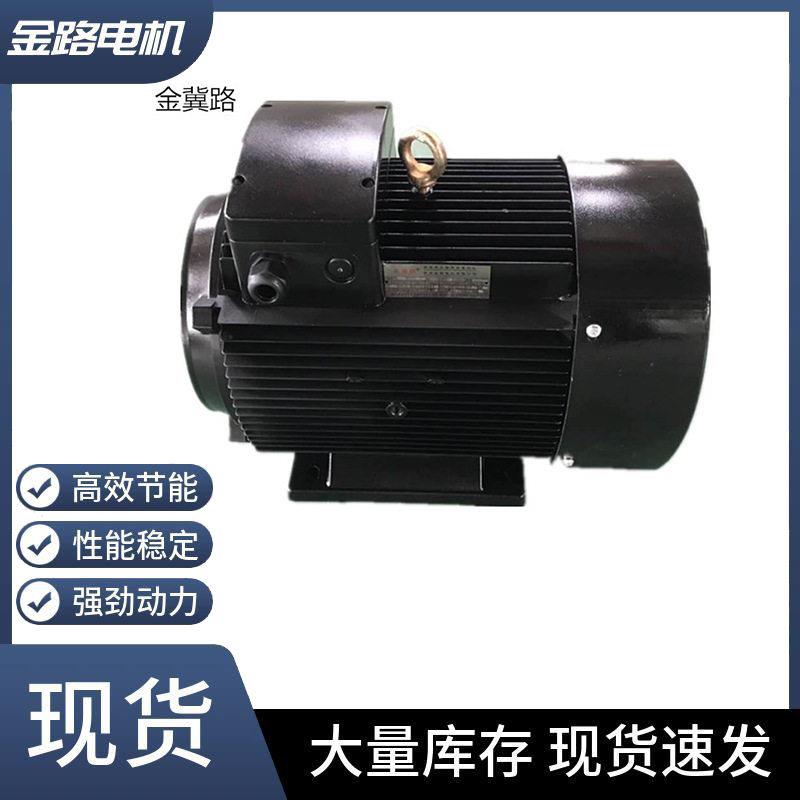 定制YE3.YE4系列电机各种型号9.5W-4壳清洗机电机三相异步电动机