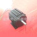 高压大功率直流无刷电机双出轴直流电机光轴电机