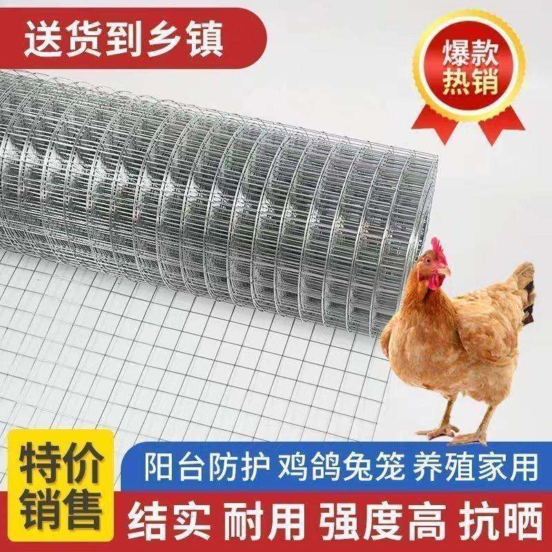 热镀锌钢丝网加粗超硬铁丝网鸡鸭鹅养殖网封窗网防猫防护铁网格网