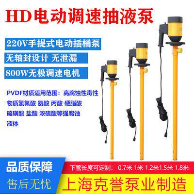 电动抽液泵H桶D-E2448-+P强VDF耐酸碱插桶泵氟塑料化V工泵浓硫酸