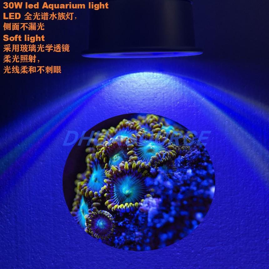 全光谱LED珊瑚灯海水缸水族藻缸筒灯爆藻定制30w大功率出苔灯