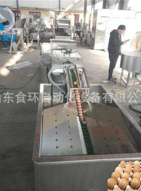 现货麻酱蛋清洗机鸭蛋清洗机小型鸡蛋清洗机洗蛋机价格