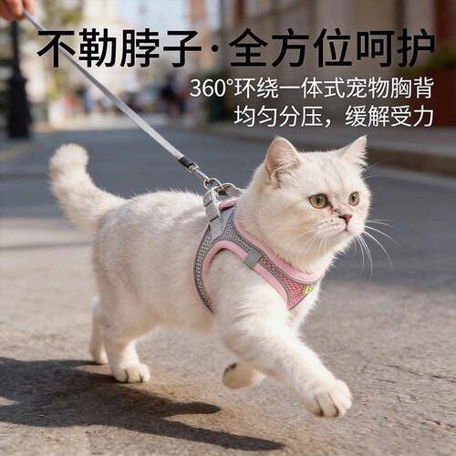 猫咪牵引绳防挣脱外出专用遛猫绳小猫抱婴袋式可调节胸背不勒脖