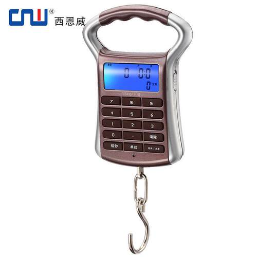 充电手提秤充电计价秤精准电子秤快递称迷弥弹簧钩称家用买卖菜秤
