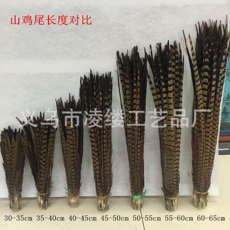 供应山鸡尾羽毛 DIY配件山鸡毛鸡毛尺寸齐全25-100厘米头饰逗猫棒