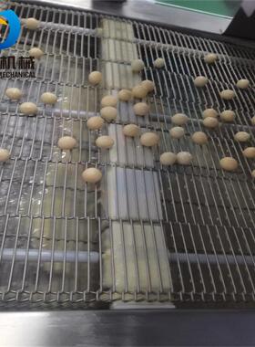 甘源夏威夷果淋巧克力机器 全自动淋酱机 坚果巧克力涂层机