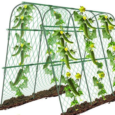 户外花园拱形架攀岩植高黄瓜架南瓜架爬藤架暖房架防虫网架瓜果架