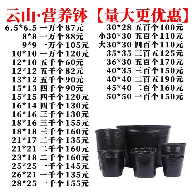 现营货加厚育苗杯装土器器养装杯09装土器营养钵装碗器装杯快速土