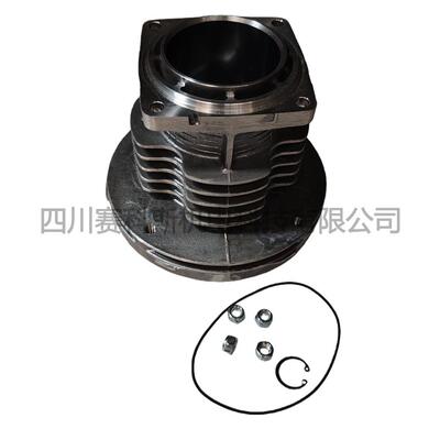 1503580160 PISTON-RINGS-CYLINDER阿特拉斯空压机活塞环气缸组件