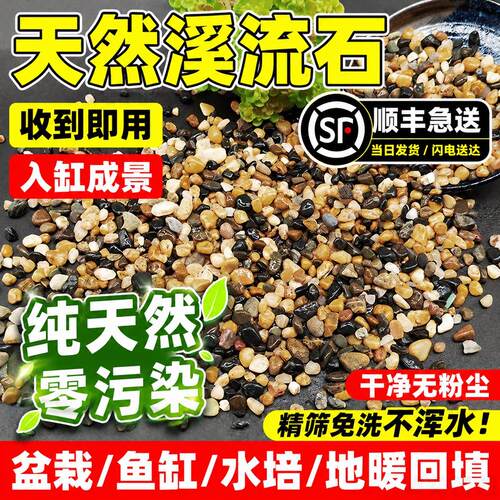 原生溪流石纯天然鱼缸造景底沙子溪流砂河沙乌龟缸原生水族箱造景