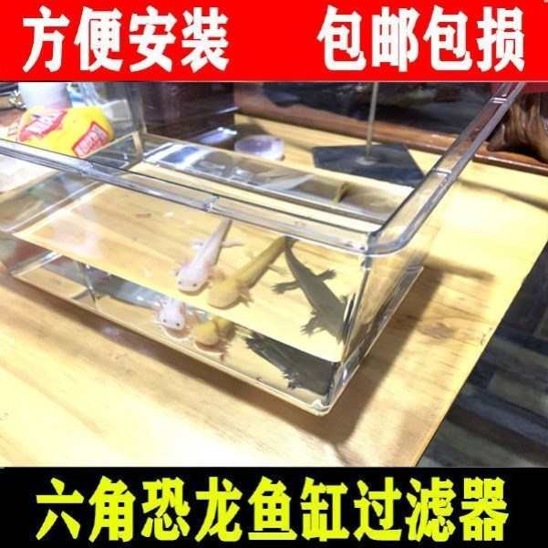 六角恐龙鱼的鱼缸六角恐龙鱼躲避屋蝾螈饲养缸水陆两栖龟缸大容量