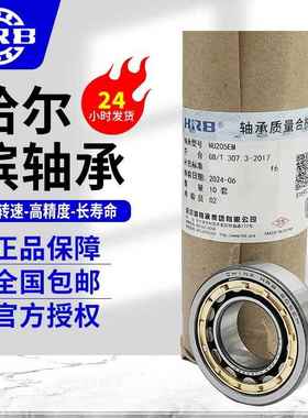 HB哈尔轴承N15EM264滨N2216ERM二类圆柱滚子轴承