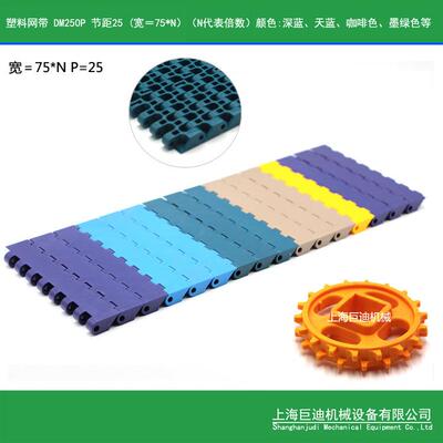 供应输送塑料网带DM250平板网带模组网带工业输送带