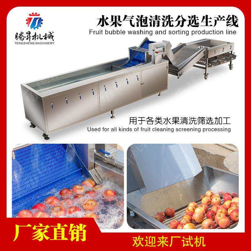 分选机分级机瓜果分大小清洗作业线气泡洗菜机不锈钢质材