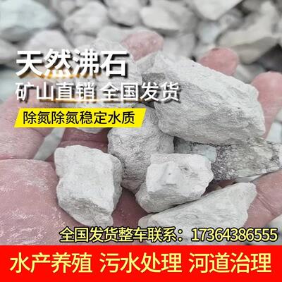 沸石滤料矿山直供沸石颗粒高效过滤水质除磷除氮人工湿地污水处理