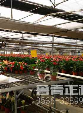 家供钢304不厂锈轴流风机温VNT室大棚厂房排烟通风机养殖通风直扇