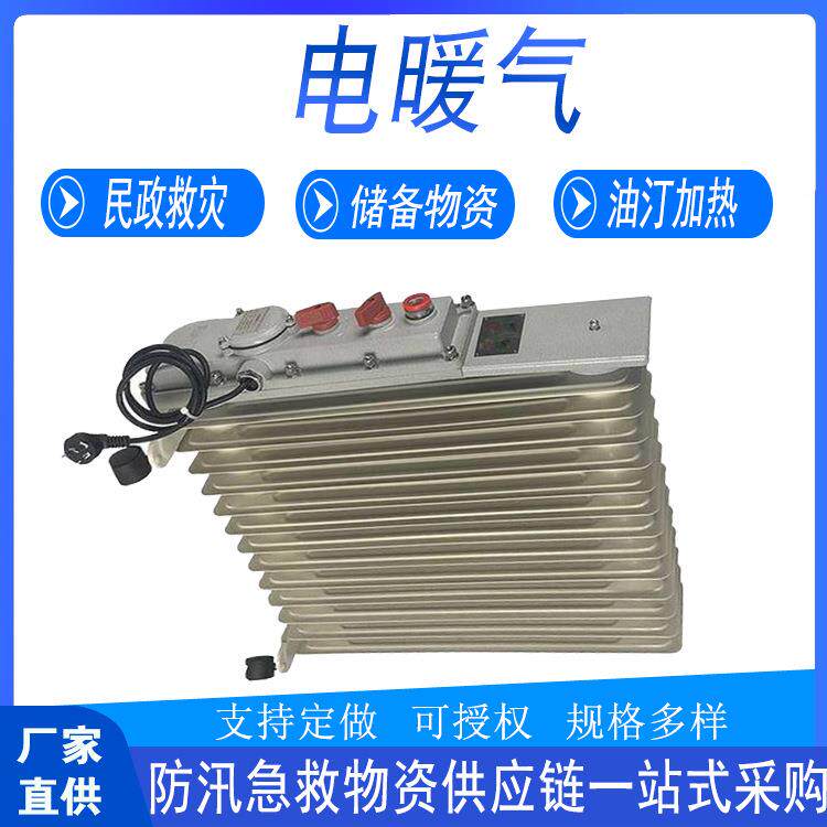 家用节能电暖气片工业电热大功率13片暖风机办公取暖加热器