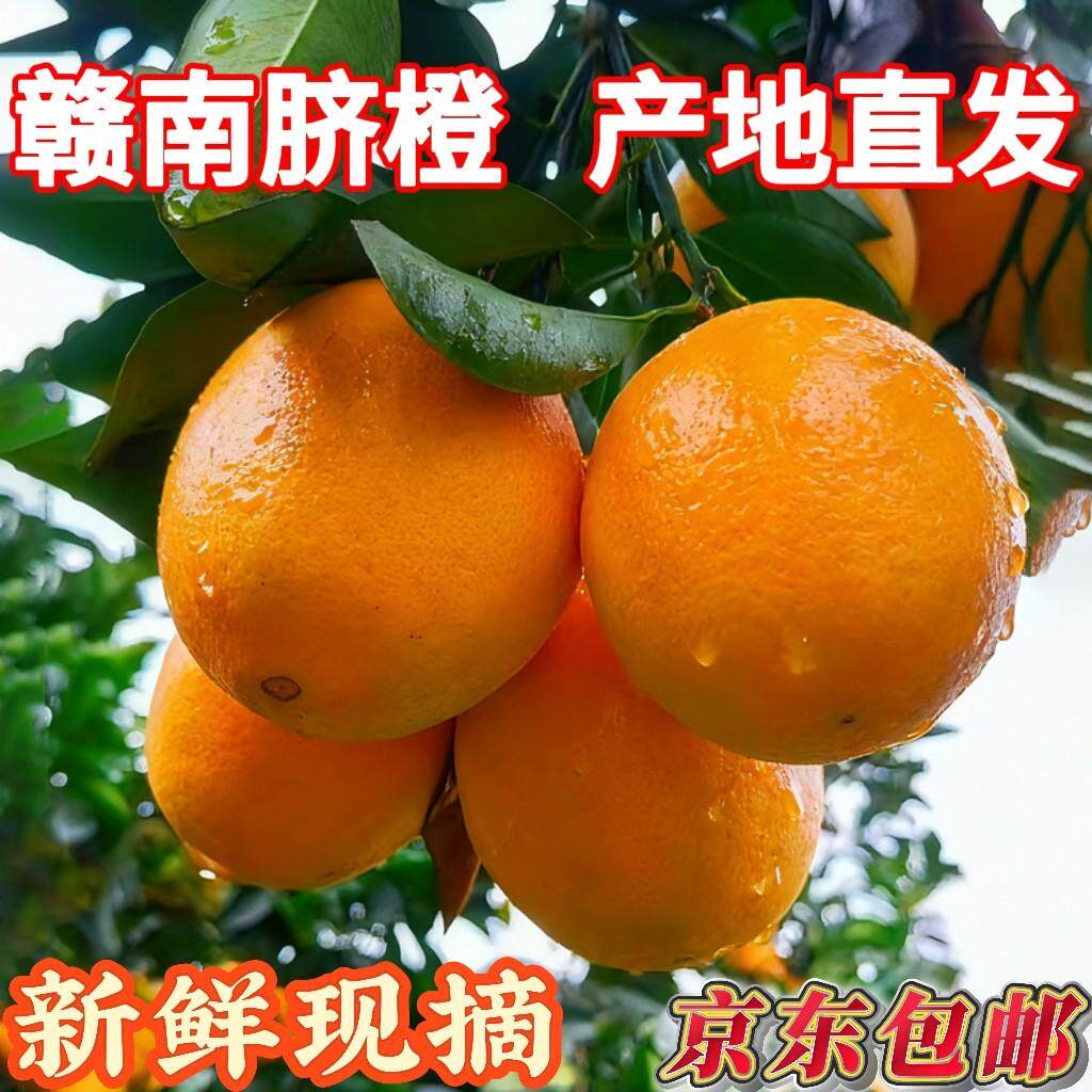 正宗赣南脐橙新鲜水果10斤江西赣州产地直发应季整箱橙子现摘礼盒