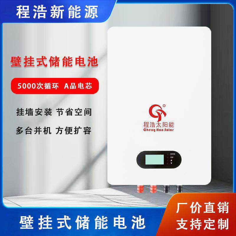 壁挂式磷酸铁锂电池,低压系列锂电池100w,200w锂电池
