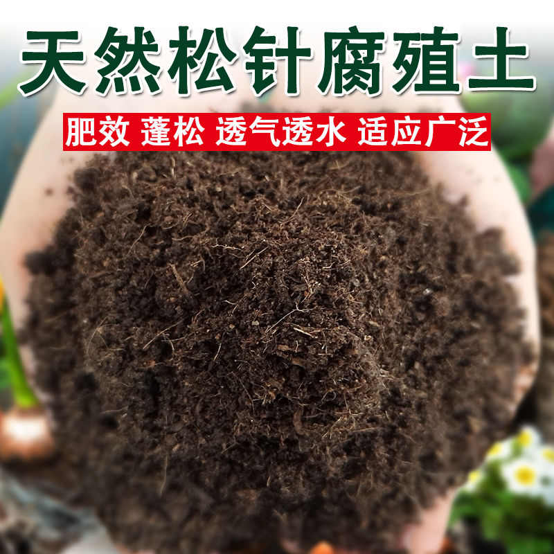 松针腐殖土种菜养花营养土疏松透气多肉通用型家用种植土壤