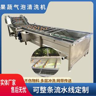 全自动去泥气泡机花生大豆玉米气泡清洗机西红柿去农药清洗机