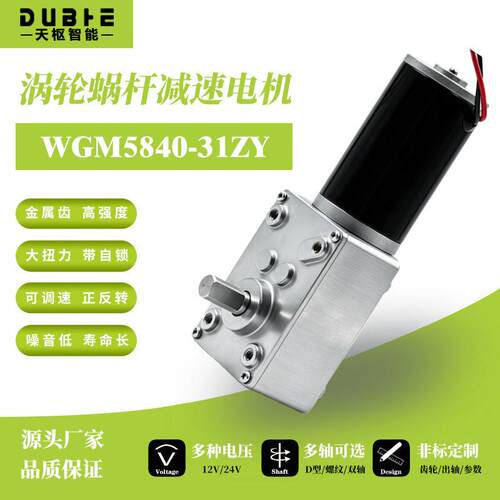 5840-31ZY涡轮蜗杆直流速电机12v24调速自锁齿轮大扭矩双轴马达