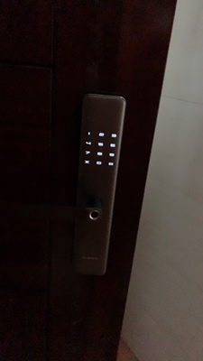 内行人述说:德国博世指纹锁怎么样？入手博世指纹锁到底好不好呢？