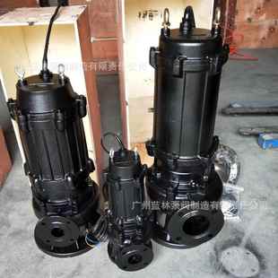 WQ潜污泵250WQ600 12无堵塞工程污水提升排污泵250mm潜水泵