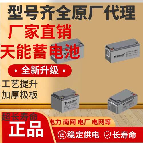 天能工业蓄电池TN12-100ZE 12V100AH 直流屏储能电池