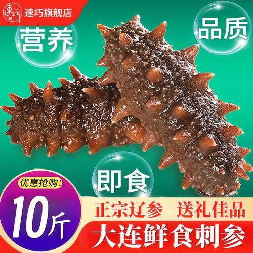 正宗大连鲜食海参即食海参鲜活辽刺参新鲜海生营养速食装经营店