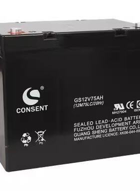 光盛蓄电池GS-12V7AH12A17A20A24A38A65A100AH消防应急UPS电源EPS